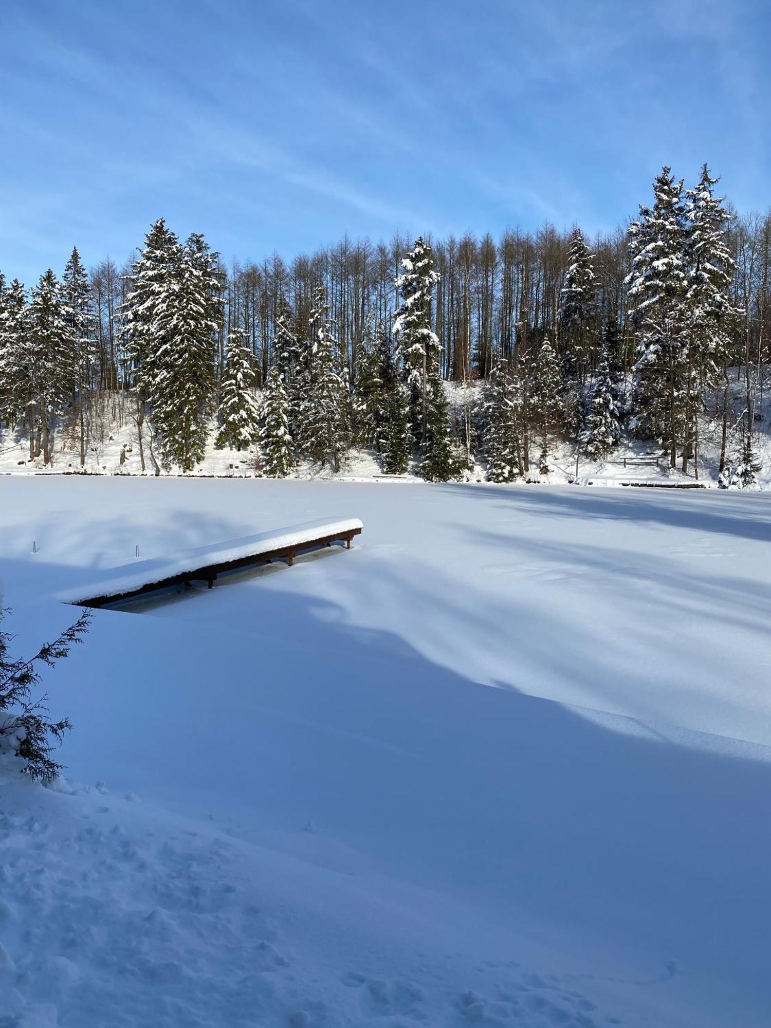Das Waldseechalet Maerchenhafter Waldseeblick - Moderne Wohnung Mit Infrarotsauna Hasselfelde Exterior foto